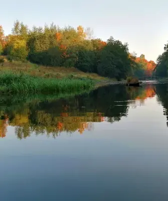Река Оредеж рыбалка