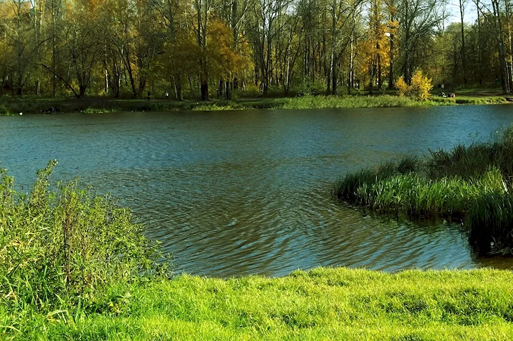 Река Пехорка в Балашихе