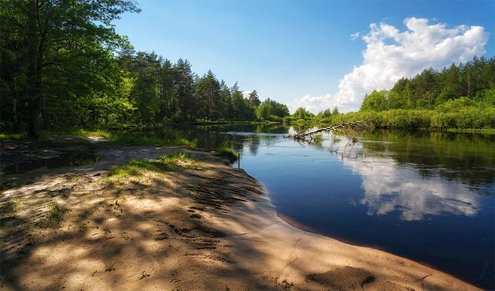 Река пра Мещера