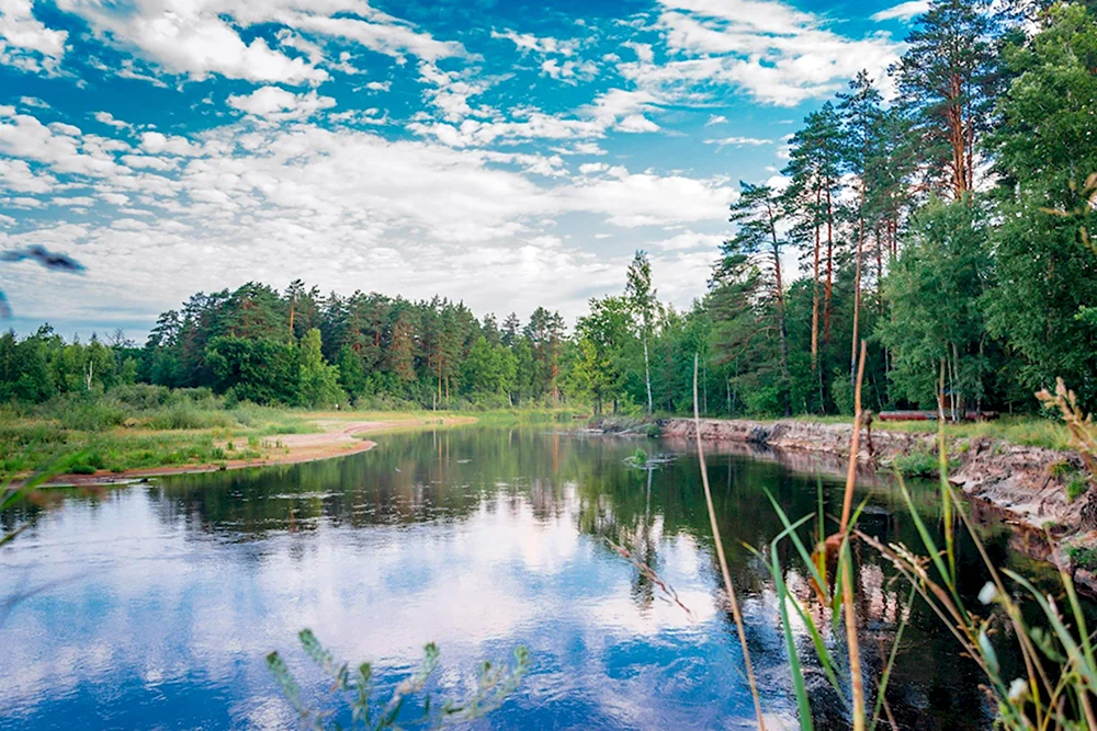Река пра Окский заповедник