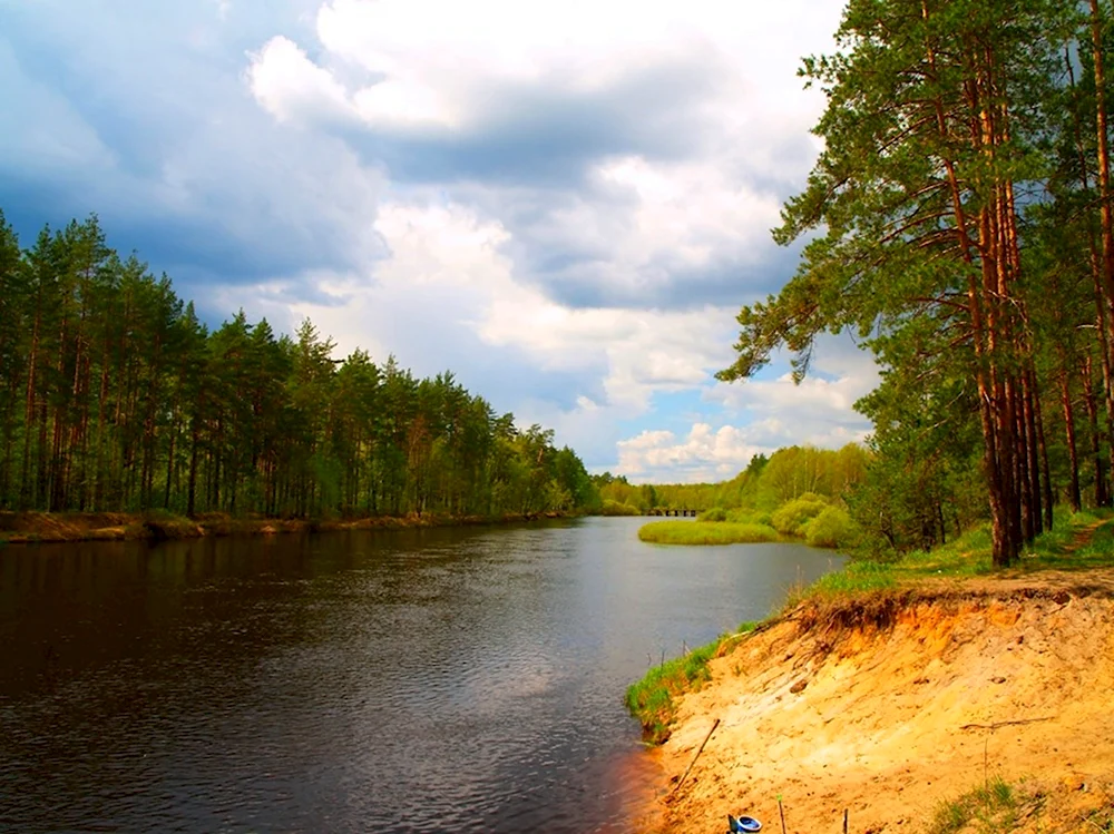Река пра Рязанская область