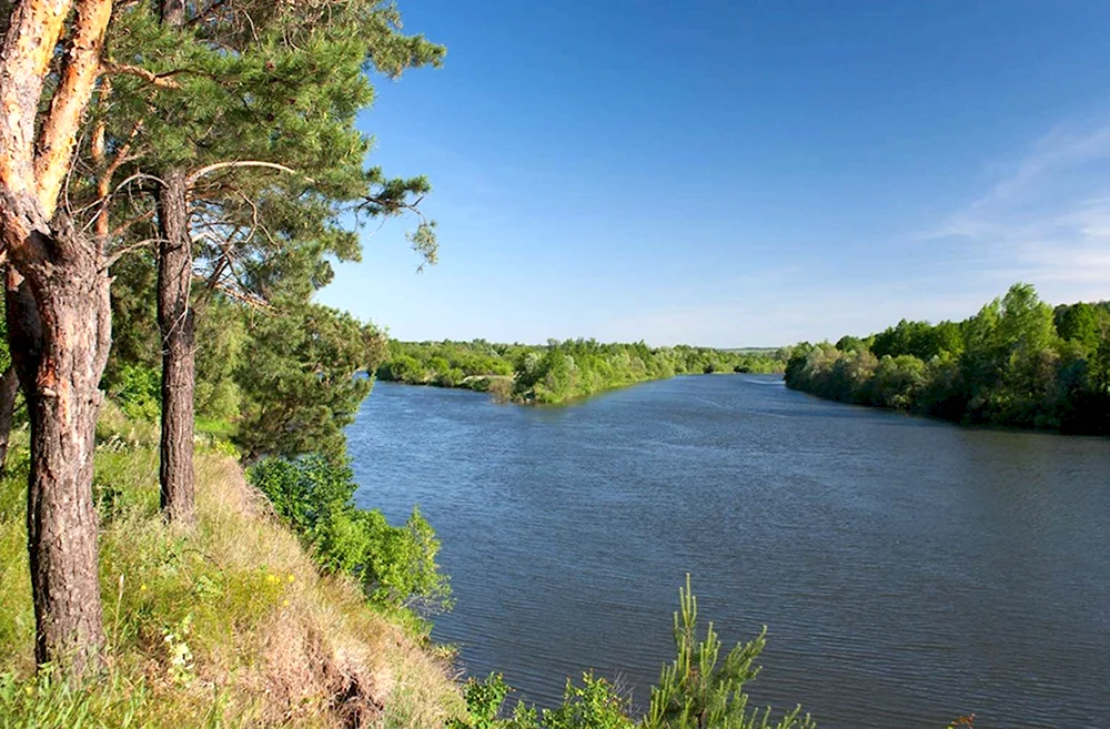 Река Сура Ульяновская область