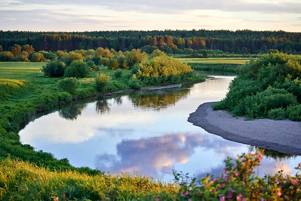 Река Сура в Мордовии