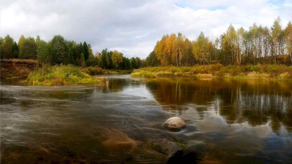 Река Сурень Ворсма