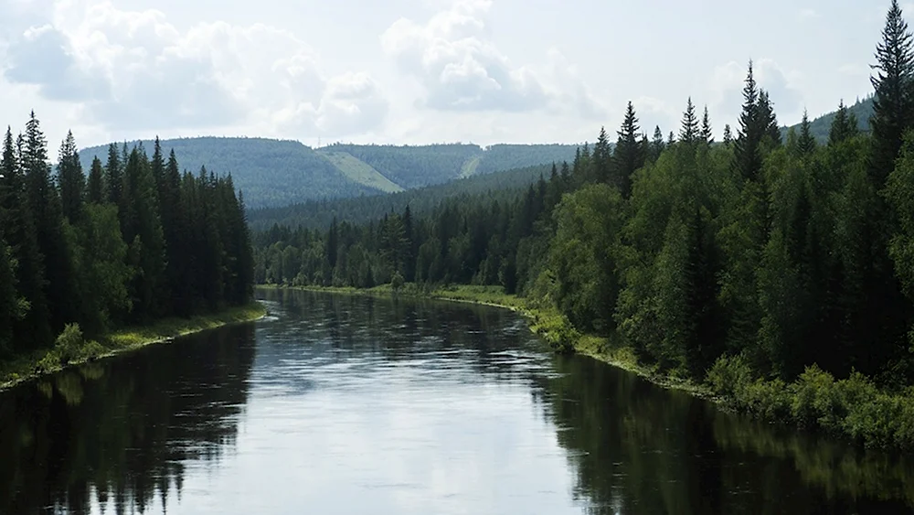 Река Тагна