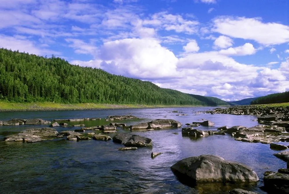 Река Тунгуска Красноярский край