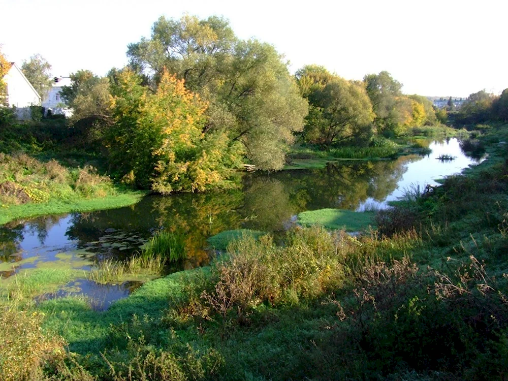 Река Зуша Мценский район
