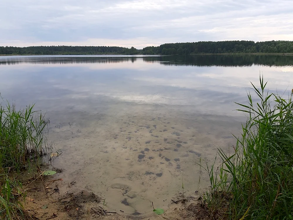 Рязань озеро Беленькое