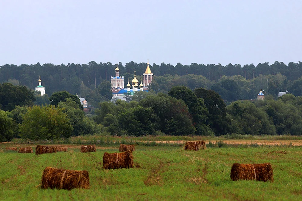 Рязанская природа