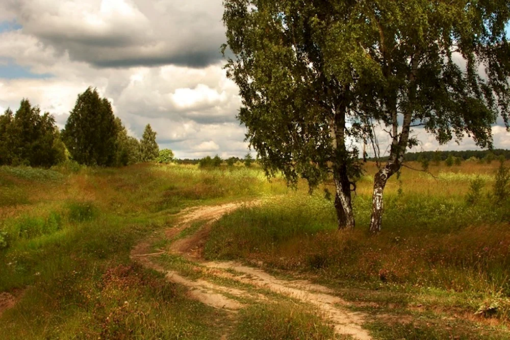 Родные просторы природа родного села