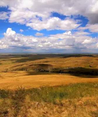 Ширакская степь