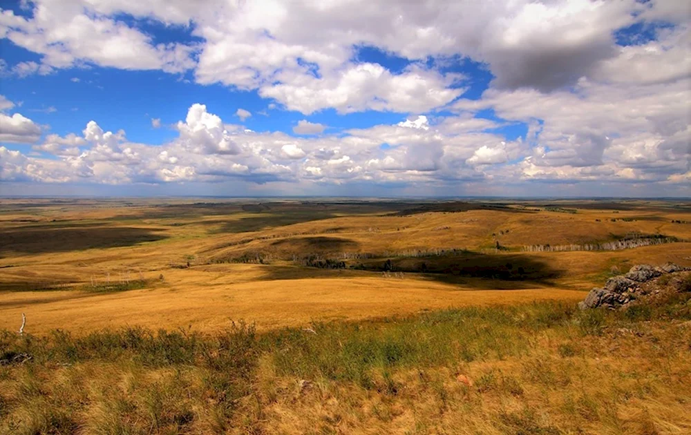 Ширакская степь