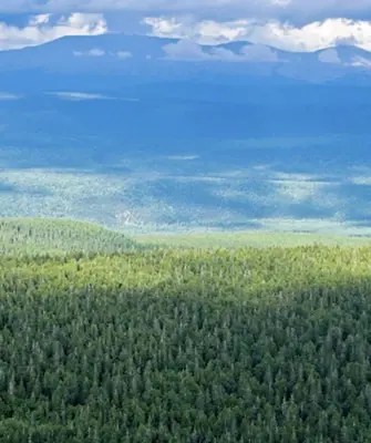 Сибирь Тайга панорама