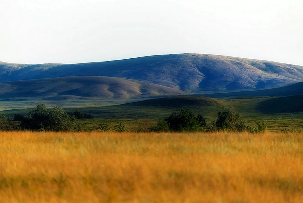 Степи Южного Урала