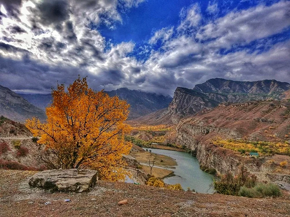 Сулакский каньон осенью