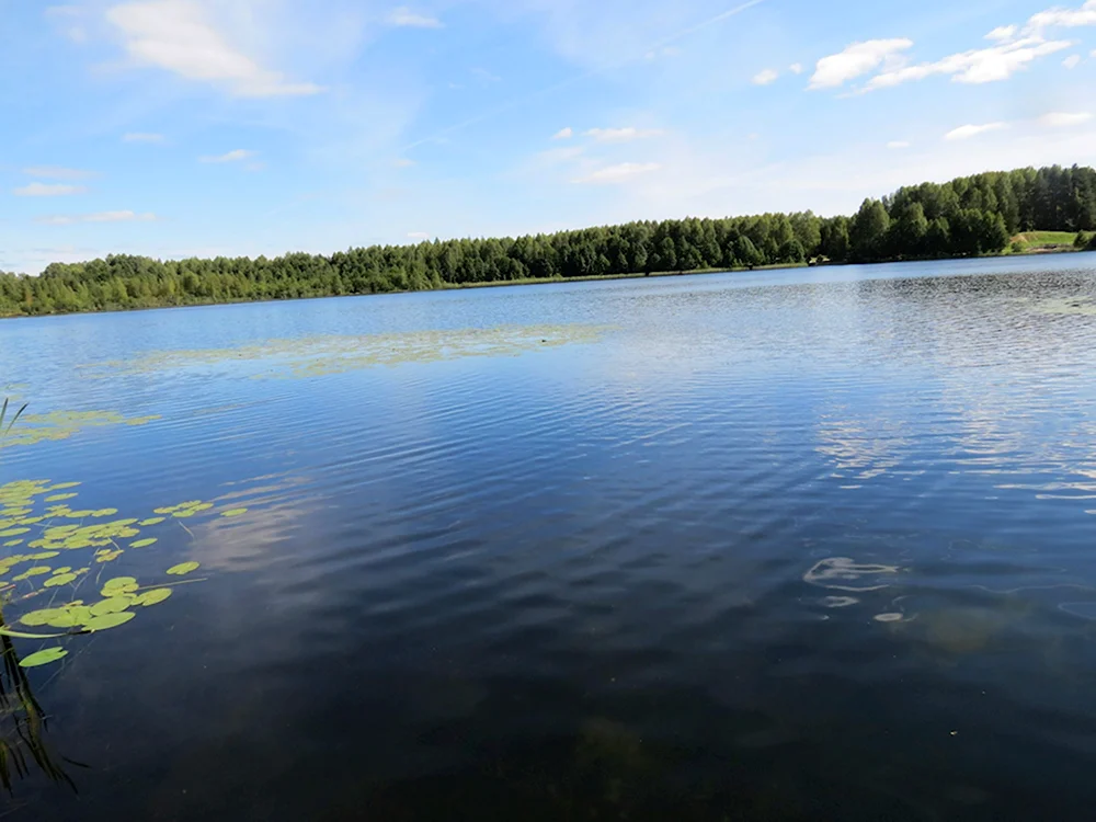 Светлоярское озеро Нижегородская область