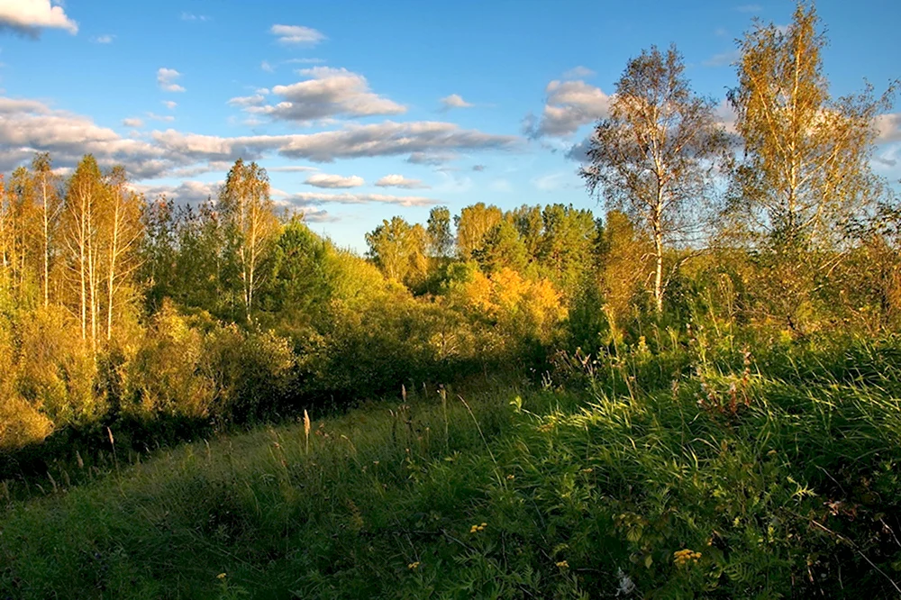 Томск природа