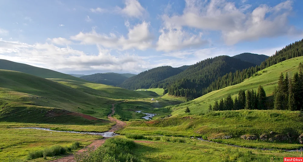 Турген Забайкальский край