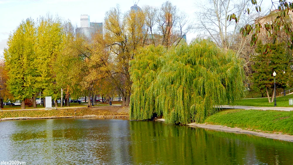 Уголки Москвы