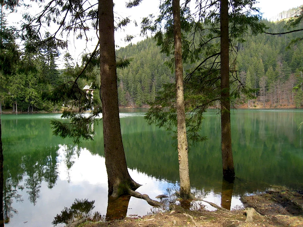 Ukraine nature Lake