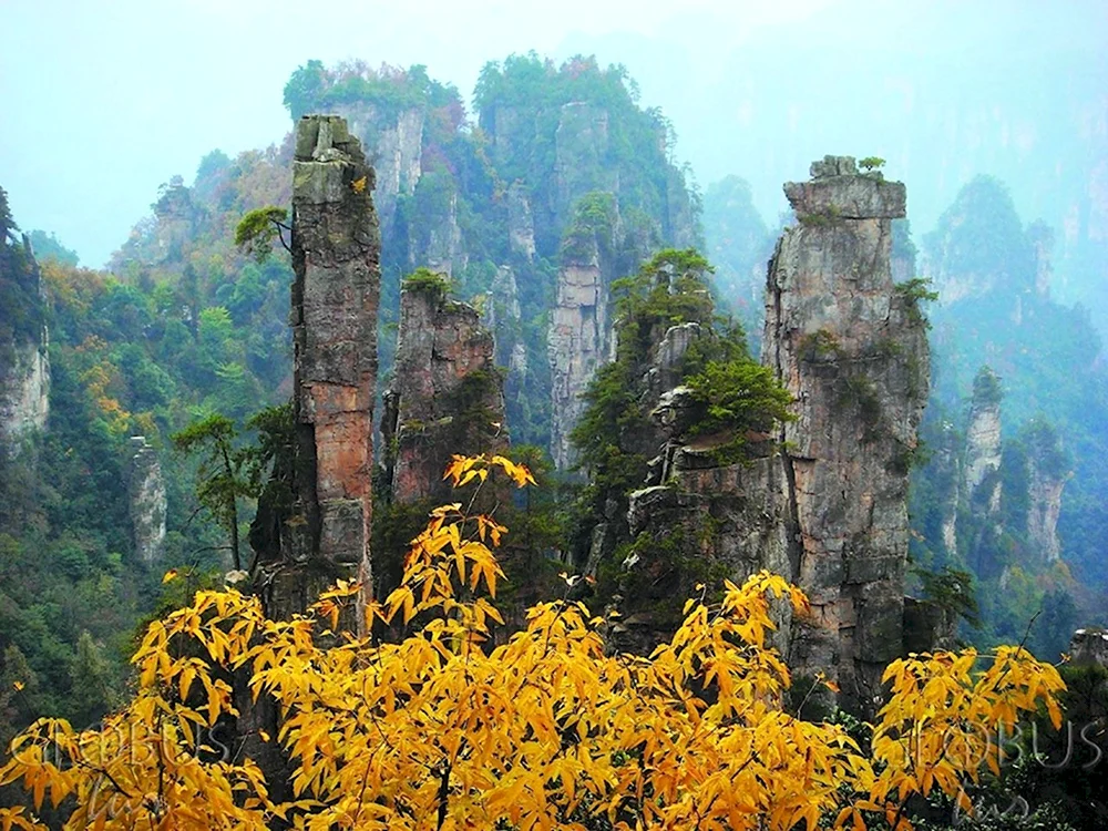 Улинъюань Чжанцзяцзе