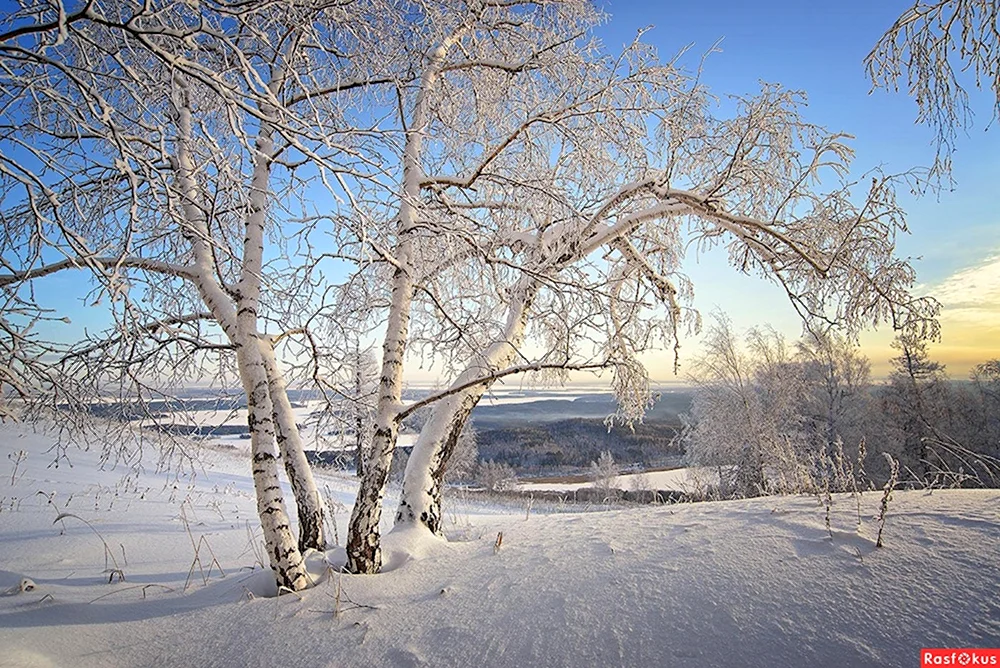 Уральская природа февраль