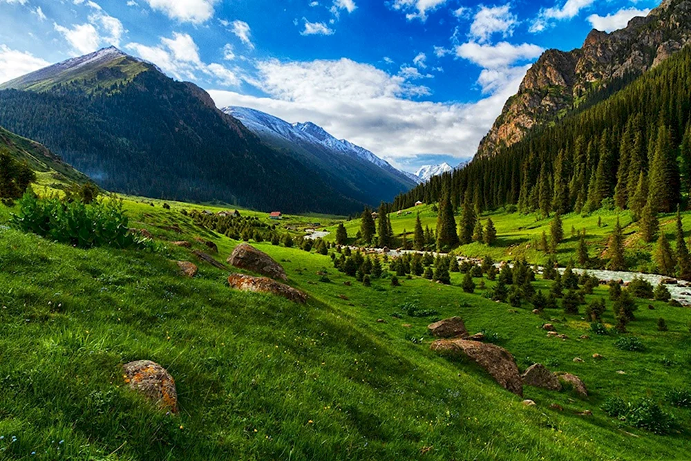 Ущелье Алтын Арашан