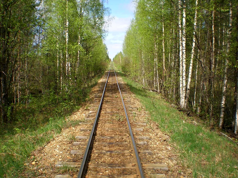 Узкоколейка железная дорога