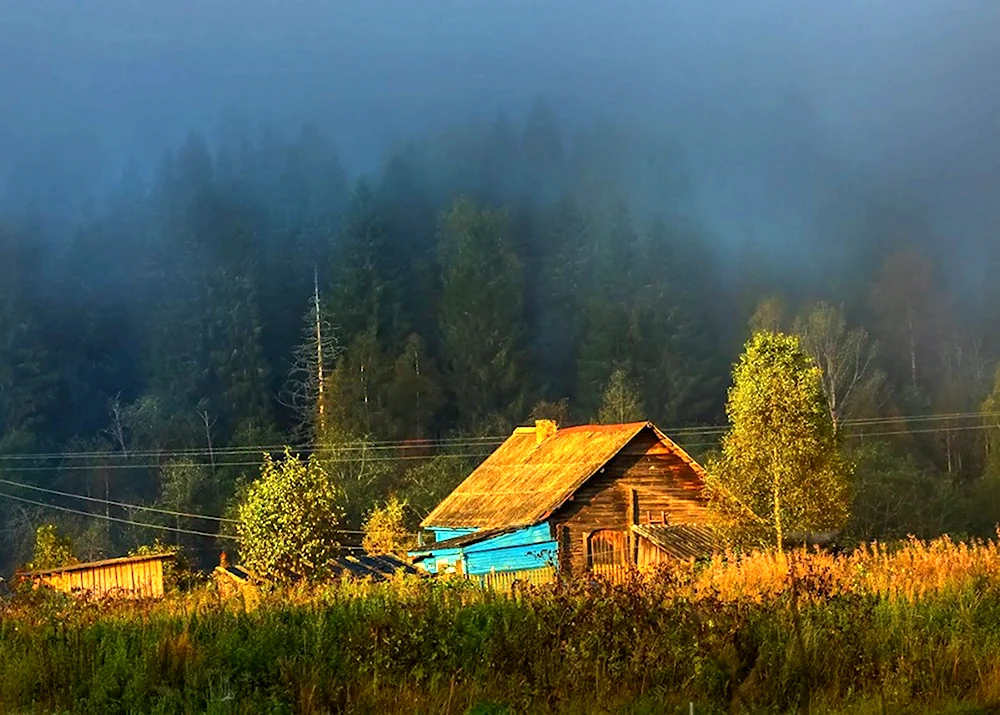 Вепсский лес деревня Ярославичи