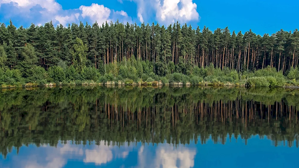 Вилия озеро Хвойная