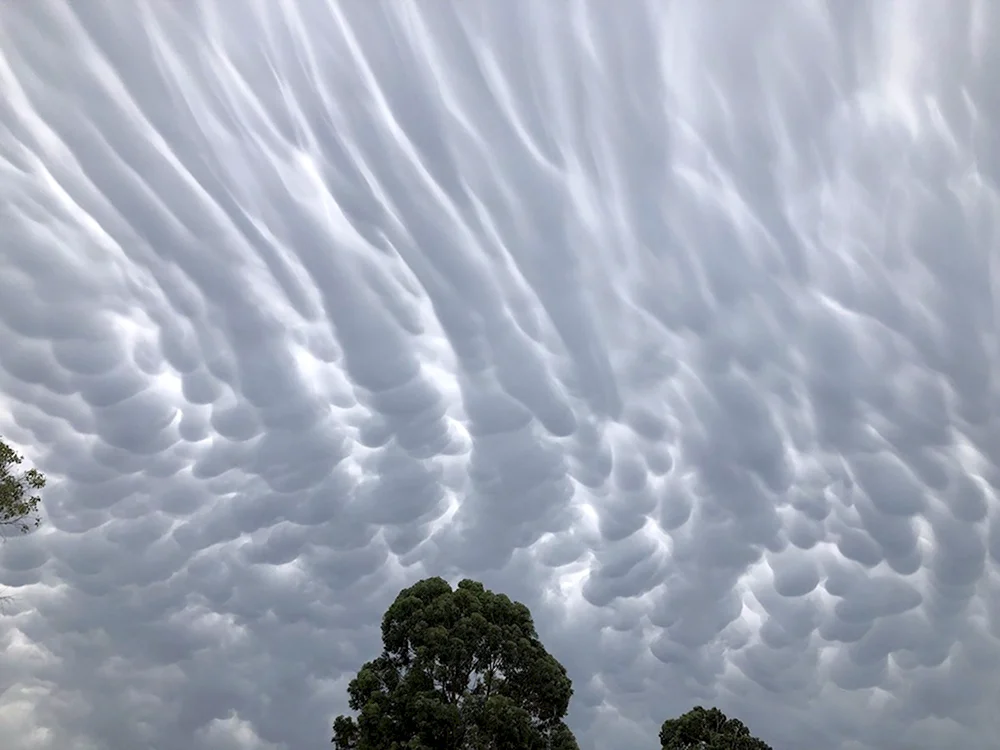 Вымеобразные облака Mammatus cloud