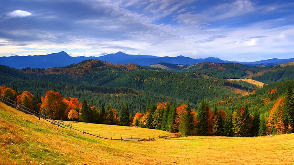 Закарпатье горы Украина