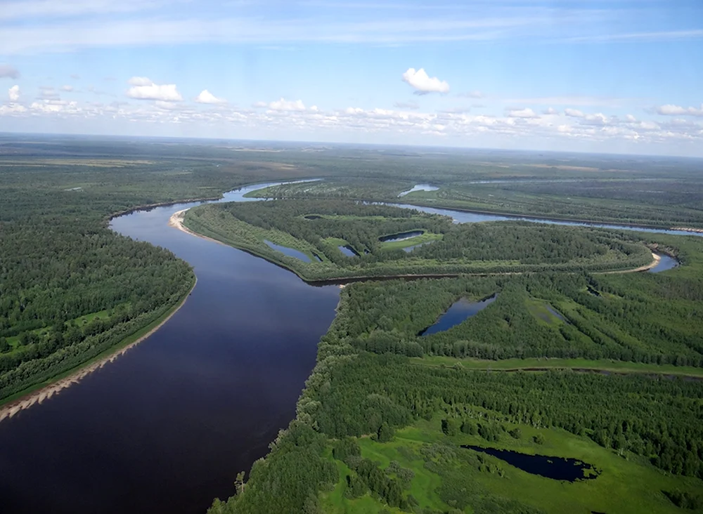 Западно Сибирская равнина ХМАО