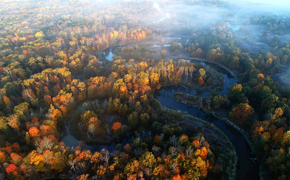 Заповедник Брянский лес