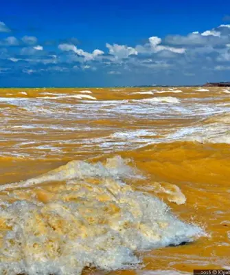Желтое море Корея
