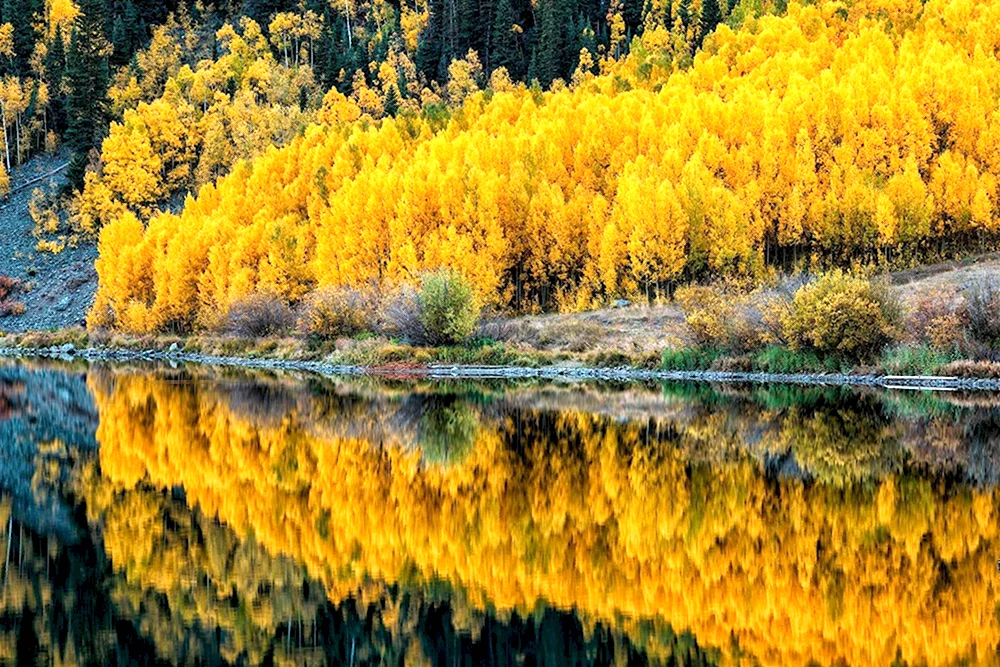 Золотая осень