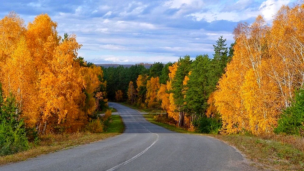 Золотая осень дорога