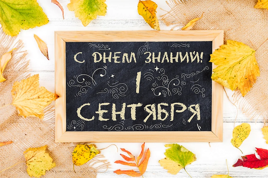 Баннер 1 сентября