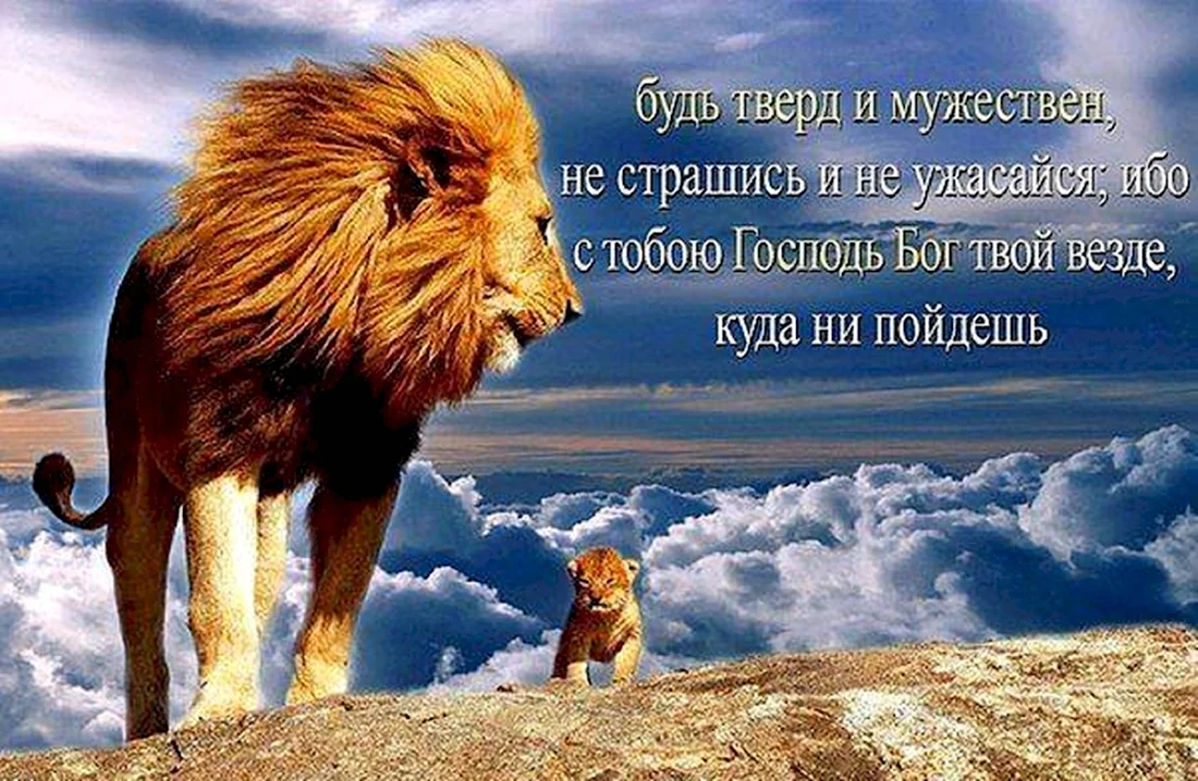 Будь тверд и мужественен не страшись и не ужасайся