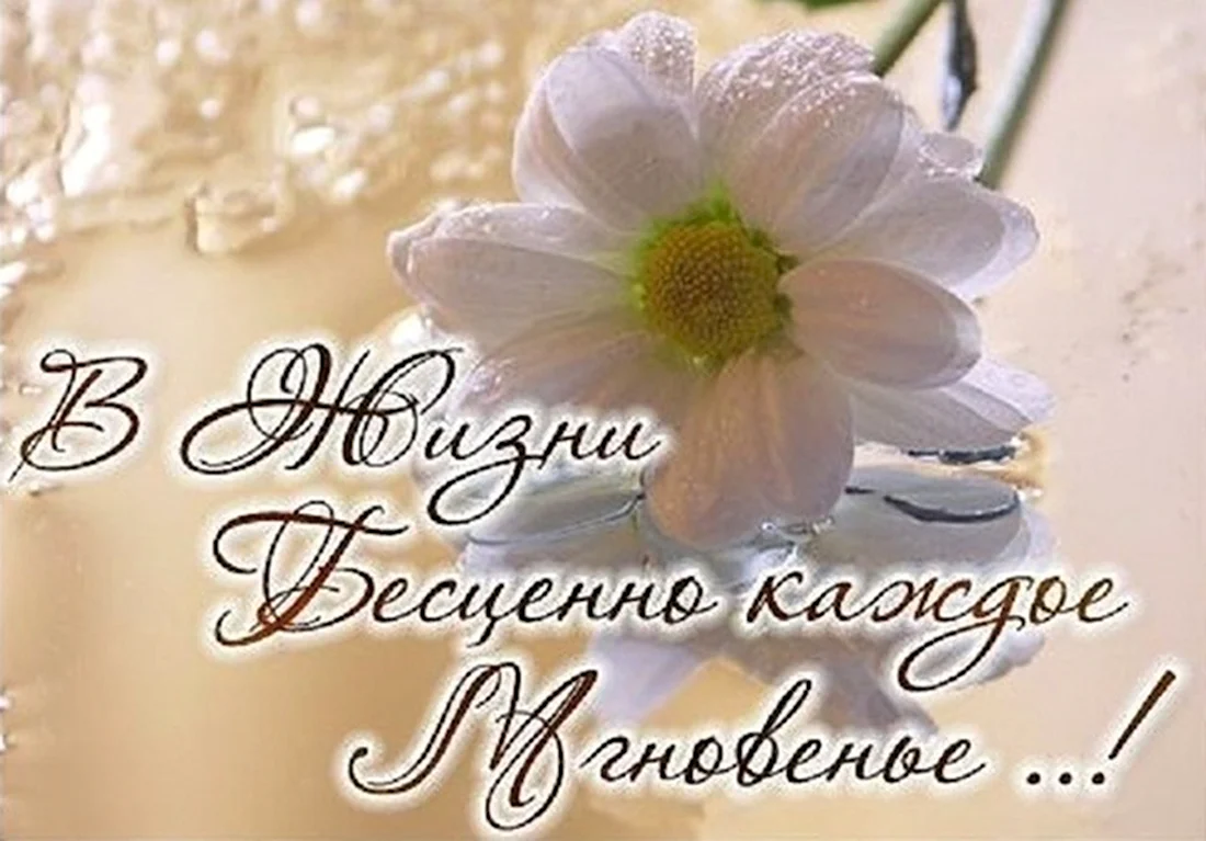 Чудесные мгновения радости