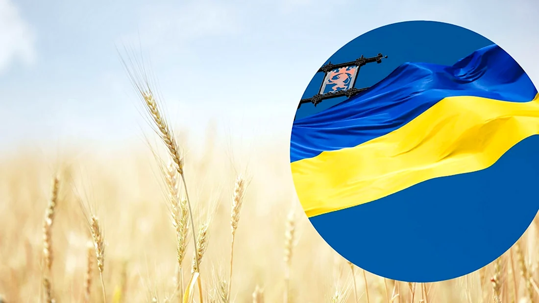 День Конституции Украины