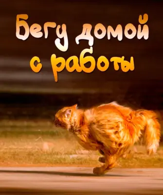 День вне времени картинки прикольные