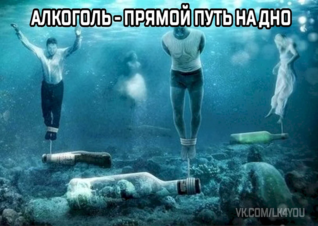 Дно жизни