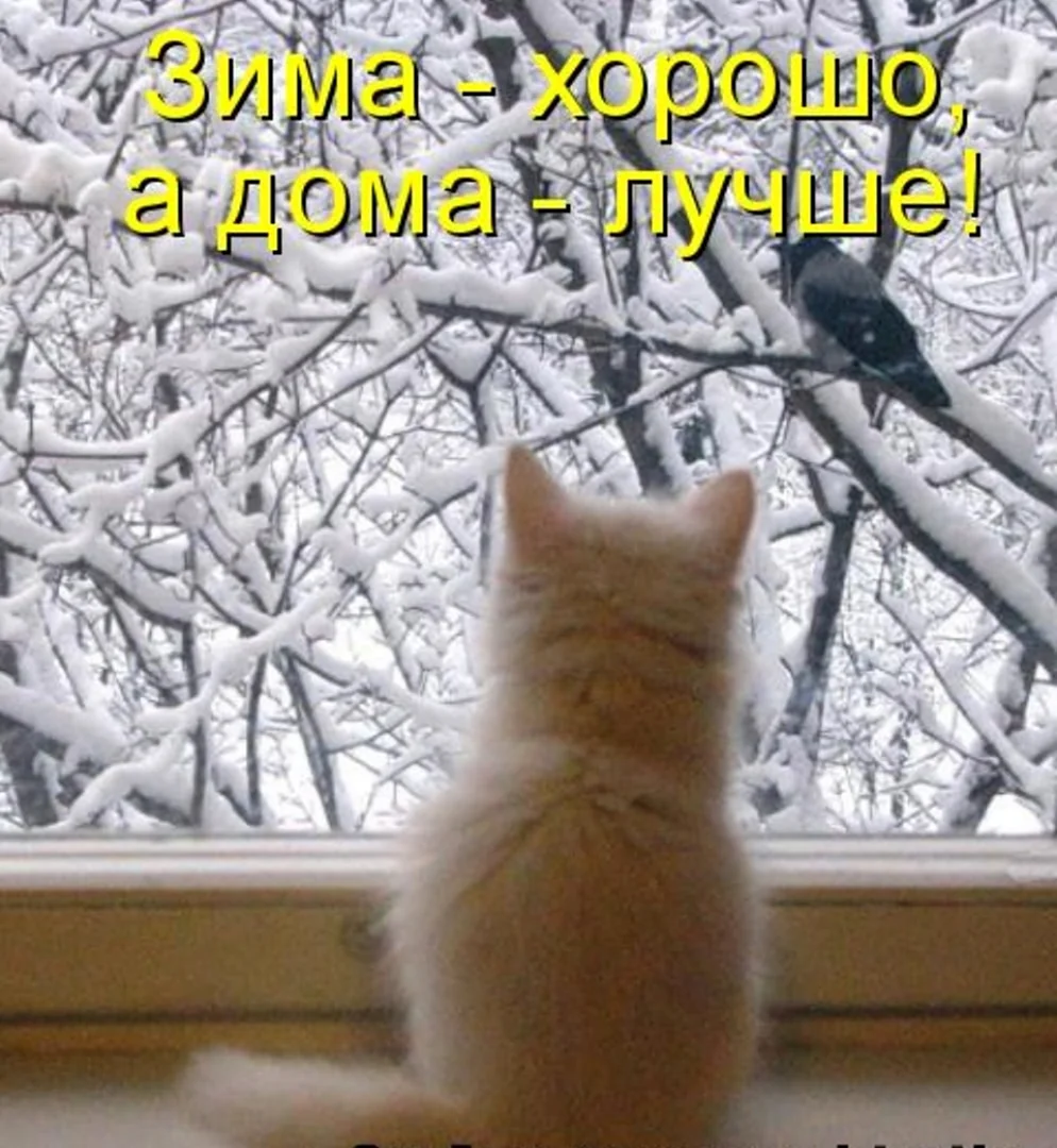 Добро утро зима пришла