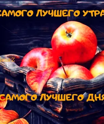 Доброе Октябрьское утро мудрость
