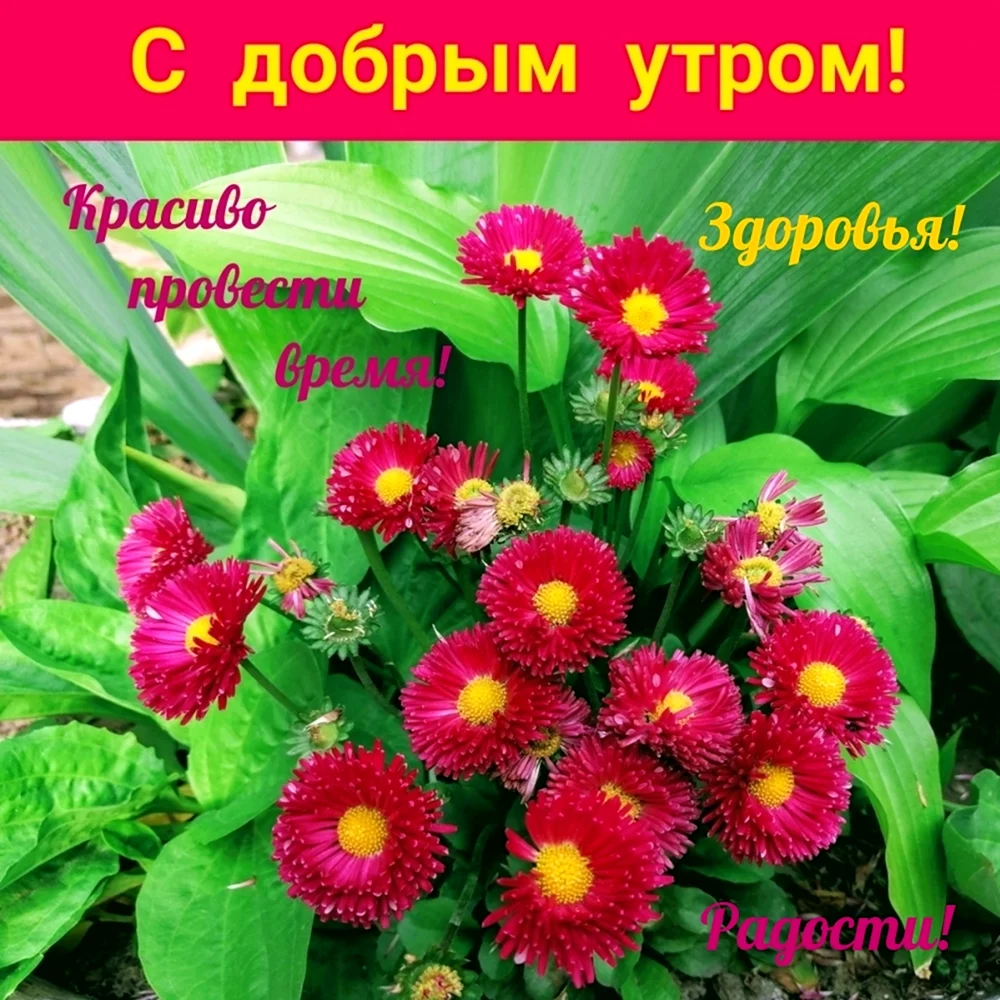 Доброе утро всем здоровья