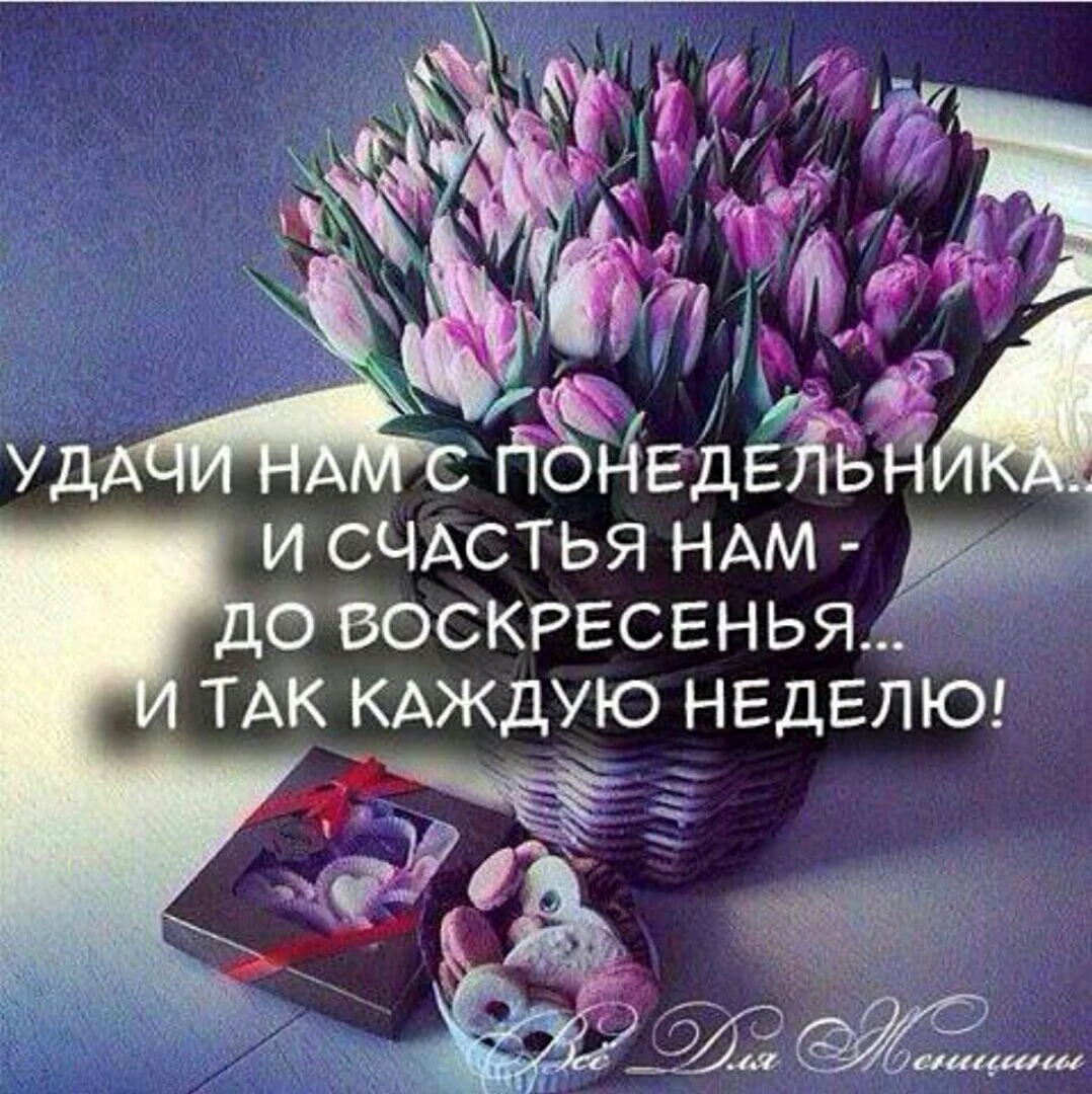 Доброго вам понедельника