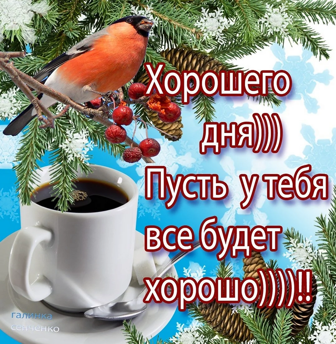 Доброго зимнего утра и хорошего дня