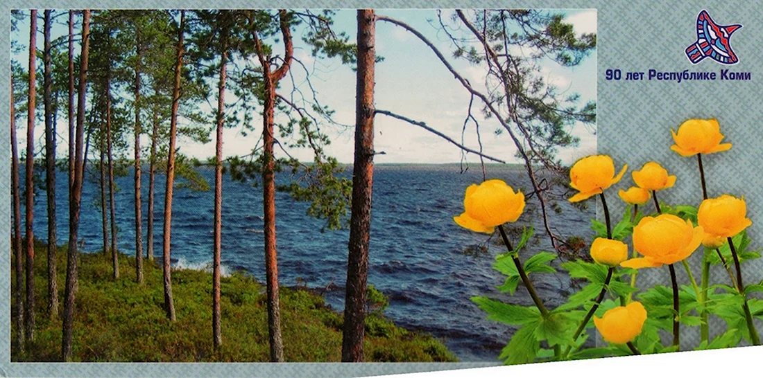 Флора Республики Коми