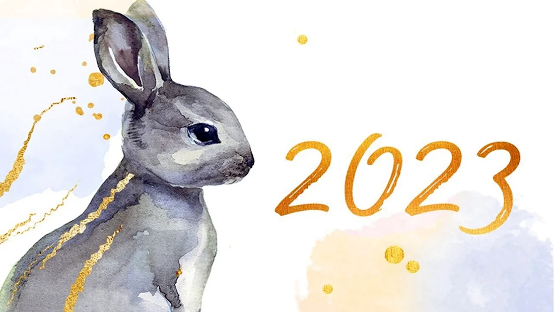 Год кролика 2023